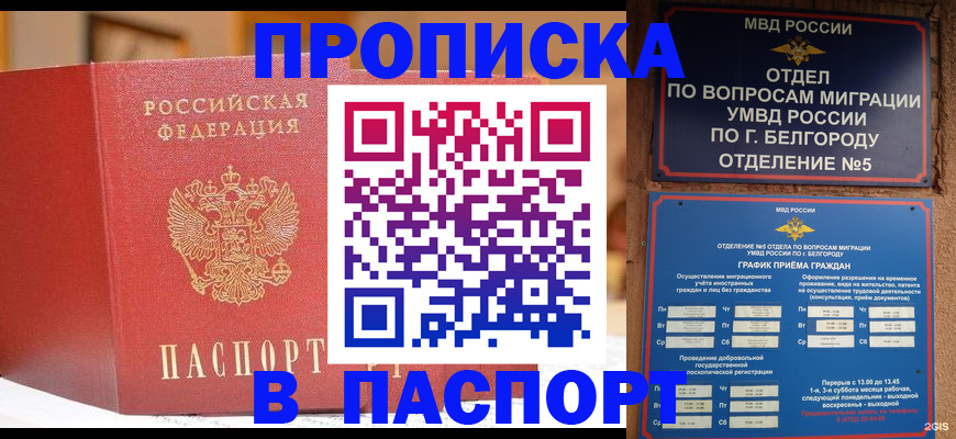 временная регистрация в квартире в Фрязино